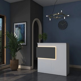 Τραπέζι Υποδοχής Λευκό / Ανθρακί FRABAFU 110x40x110