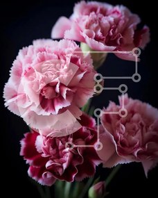 Intra Συλλεκτικό Ξύλινο Παζλ Plywood 4mm - Τρία ροζ γαρίφαλα σε ένα βάζο σε μαύρο φόντο Σε Ξύλινο Κουτί - Διαστάσεις: 10x10 cm – 25 κομμάτια