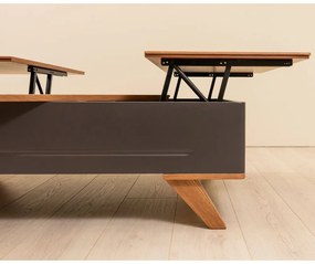 Τραπεζάκι Σαλονιού Aston 120x80x45