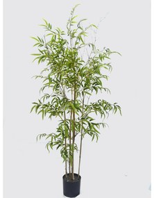 Supergreens Τεχνητό Δέντρο Φίκος \"Ginseng\" Πράσινο 150 εκ. - 7990-6