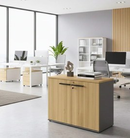 Ντουλάπι Storix-Kafe