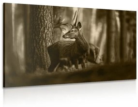 Εικόνα ενός ελαφιού σε ένα πευκοδάσος στη σέπια - 120x80