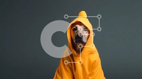 Σετ των 2 Intra Συλλεκτικό Ξύλινο Παζλ Plywood 4mm - Περίεργος σκύλος με πορτοκαλί κουκούλα Σε Ξύλινο Κουτί - Διαστάσεις: 10x10 cm – 25 κομμάτια