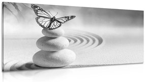 Ισορροπία εικόνας από πέτρες και πεταλούδα σε ασπρόμαυρο σχέδιο