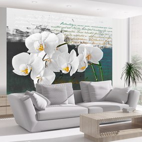 Φωτοταπετσαρία - Orchid - poet's inspiration 350x270