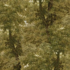 Ταπετσαρία Branchy WP20784 Autumn Green MindTheGap 52x300cm