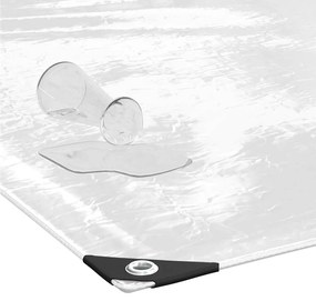 vidaXL Σαφής μουσαμάς με οπές 6x6 m PVC