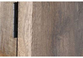 Ντουλάπι DKD Home Decor Ξύλο από Μάνγκο 80 x 40 x 160 cm