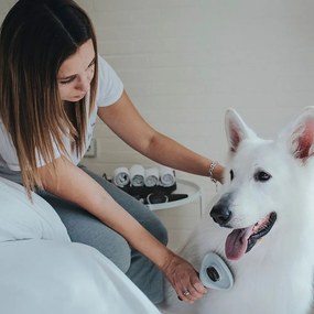 Βούρτσα Hunter Αυτο-καθαρισμός