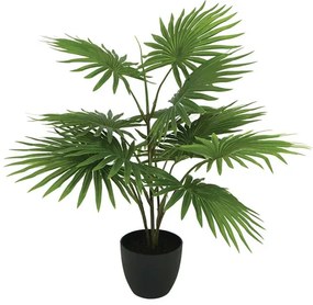 MarHome ΔΕΝΤΡΟ ΠΙΤΣΑΡΔΙΑ REAL TOUCH ΣΕ ΓΛΑΣΤΡΑ - Υ70cm 1/6KΙΒ  04-20002(22080)