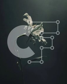 Intra Συλλεκτικό Ξύλινο Παζλ Plywood 4mm - Μοναχικό λευκό λουλούδι σε ένα σκοτεινό δωμάτιο Σε Ξύλινο Κουτί - Διαστάσεις: 10x10 cm – 25 κομμάτια