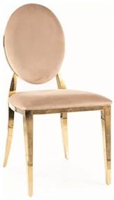 KRZESŁO KING VELVET ZŁOTY STELAŻ/BEŻOWY BLUVEL 28 DIOMMI-80-3315
