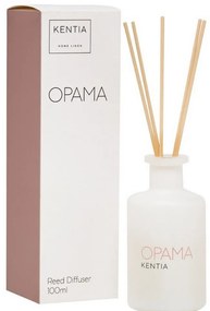 Αρωματικό Χώρου Με Sticks Mood 25 Όραμα 100ml Diamond Snow Kentia Γυαλί
