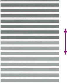 vidaXL Ζέβρα τυφλή Σκούρο Γκρι Πλάτος υφάσματος 155,9 εκ. Πολυεστέρας