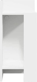 vidaXL Πλαϊνά Τραπεζάκια 2 τμχ με ράφι Λευκό 25,5x27x60 cm