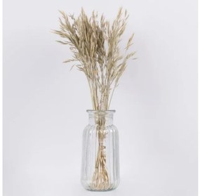 Αποξηραμένο Φυτό Σίτος WHEAT 36548 GloboStar-36548-Μπεζ 36548