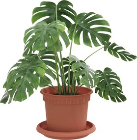 vidaXL Γλάστρες φυτών 24 pcs Κεραμιδί Ø 12,5 x 10 εκ Πλαστικό