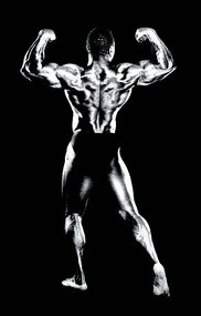 Φωτογραφία Male bodybuilder flexing muscles, rear view (B&W), Robert Daly