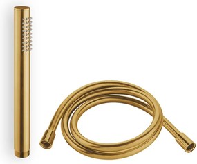 Τηλέφωνο ντους και σπιράλ PVC Eurorama-Gold - brushed