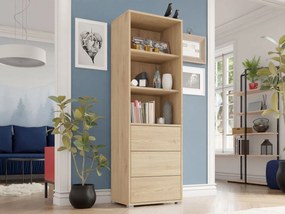 Βιβλιοθήκη Gesita-Φυσικό