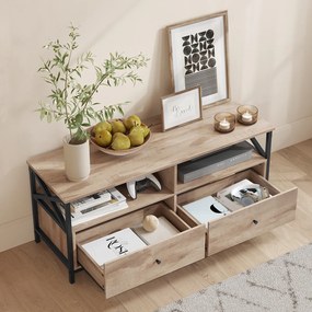 Έπιπλο Τηλεόρασης (120x40x50) Vasagle LTV300B50V1
