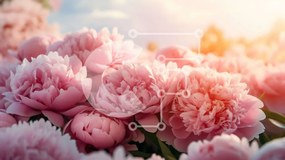 Intra Συλλεκτικό Ξύλινο Παζλ Plywood 4mm - Ανθισμένες ροζ παιώνιες με τον ήλιο να λάμπει πίσω τους Σε Ξύλινο Κουτί - Διαστάσεις: 10x10 cm – 25 κομμάτια