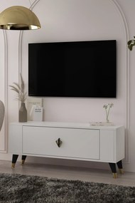 Stewehome Μοντέρνο έπιπλο τηλεόρασης με ντουλάπι 120x26x48 cm