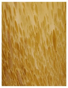 Βάζο Κίτρινο Γυαλί 11.5x11.5x31.5cm - Γυαλί - 05152252