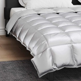 vidaXL Χειμερινό Παπλωματοθήκη 200 x 220 cm 450 gsm Ασημί
