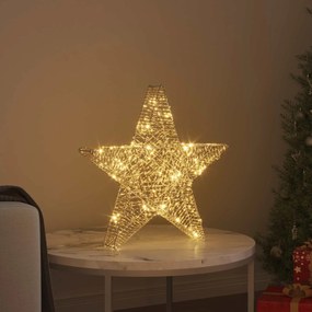 vidaXL 3D Αστέρι με 50 LED Θερμό λευκό 55 x 52.5 x 9 εκ PET