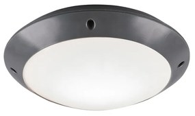 Φωτιστικό Οροφής Εξωτερικού Χώρου RL Lighting Camaro R60501042 Ανθρακί