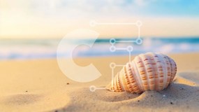 Intra Συλλεκτικό Ξύλινο Παζλ Plywood  4mm - Κοχύλι στην παραλία με τον ωκεανό στο βάθος Σε Ξύλινο Κουτί - Διαστάσεις: 10x10 cm – 25 κομμάτια