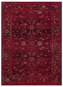 Χαλί Διαδρόμου (80x200) Ezzo Antika 6299AHH Burgundy