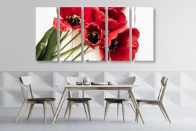 Εικόνα 5 μερών μιας ανθισμένης κόκκινης τουλίπας - 100x50