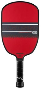 Ρακέτα Pickleball Joola Agassi Champion 12 300665