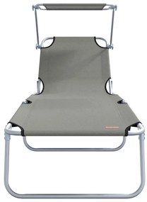 vidaXL Ξαπλώστρα 2-πρόσωπο 2 pcs Γκρι 58 x 188 x 77 εκ. ύφασμα