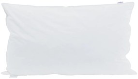 vidaXL Μαξιλάρια 2 pcs Λευκό 40 x 80 εκ. 130gsm 100% βαμβάκι