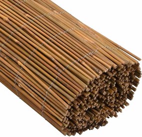 vidaXL Καλαμωτή Περίφραξης 500 x 100 εκ. από Μπαμπού