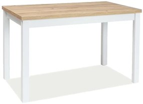 Τραπέζι κουζίνας Adam 100x60x75 golden oak craft/λευκό ματ DIOMMI ADAMDZCB100