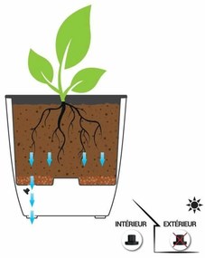 Βάζο Λουλουδιών EDA