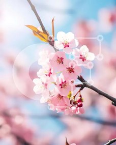 Σετ των 2 Intra Συλλεκτικό Ξύλινο Παζλ Plywood 4mm - Ροζ ανθισμένο κλαδί κερασιάς την άνοιξη Σε Ξύλινο Κουτί - Διαστάσεις: 10x10 cm – 25 κομμάτια