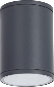 Σποτ Εξωτερικού Χώρου Aca LG2302E27G Grey