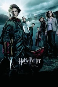 Εικονογράφηση Harry Potter and the Goblet of Fire