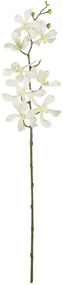 Τεχνητό Λουλούδι Vanda Orchid 21409 82cm White GloboStar Πολυαιθυλένιο
