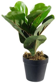 Τεχνητό Φυτό Φίκος Λυράτα 3670-6 15x25cm Green Supergreens Πολυαιθυλένιο