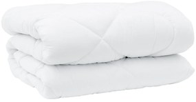 vidaXL Χειμερινό Παπλωματοθήκη 3 pcs Λευκό 240 x 260 εκ. Μικροΐνες
