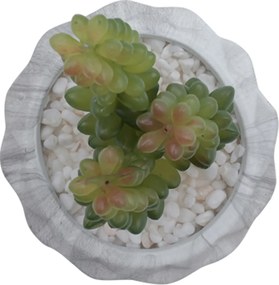 Τεχνητό Φυτό σε Μοντέρνο Κεραμικό Γλαστράκι 7x13cm