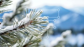 Intra Συλλεκτικό Ξύλινο Παζλ Plywood 4mm - Χιονισμένο κλαδί πεύκου με βουνά στο βάθος Σε Ξύλινο Κουτί - Διαστάσεις: 10x10 cm – 25 κομμάτια