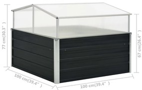 vidaXL Θερμοκήπιο Σπορείο Ανθρακί 100x100x77 εκ. Γαλβανισμένος Χάλυβας