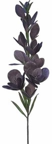 Τεχνητό Λουλούδι Γλαδιόλα 00-00-6073-8 126cm Dark Grey Marhome Foam